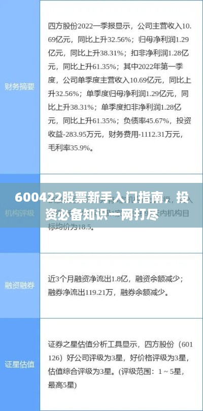 600422股票新手入門(mén)指南，投資必備知識(shí)一網(wǎng)打盡