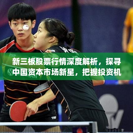 新三板股票行情深度解析，探尋中國資本市場新星，把握投資機會！