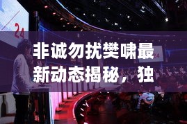 非誠(chéng)勿擾樊嘯最新動(dòng)態(tài)揭秘，獨(dú)家爆料吸引眼球！