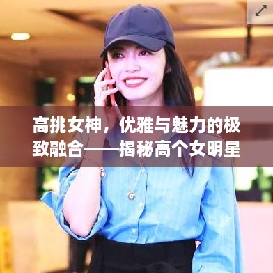高挑女神，優(yōu)雅與魅力的極致融合——揭秘高個女明星的魅力風采